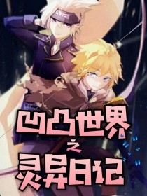 深入了解 菠萝导航